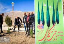 گزارش تصویری |  آیین غرس نهال و تجلیل از پرسنل زحمتکش فضای سبز و باغبانی دانشگاه صنعتی شاهرود  